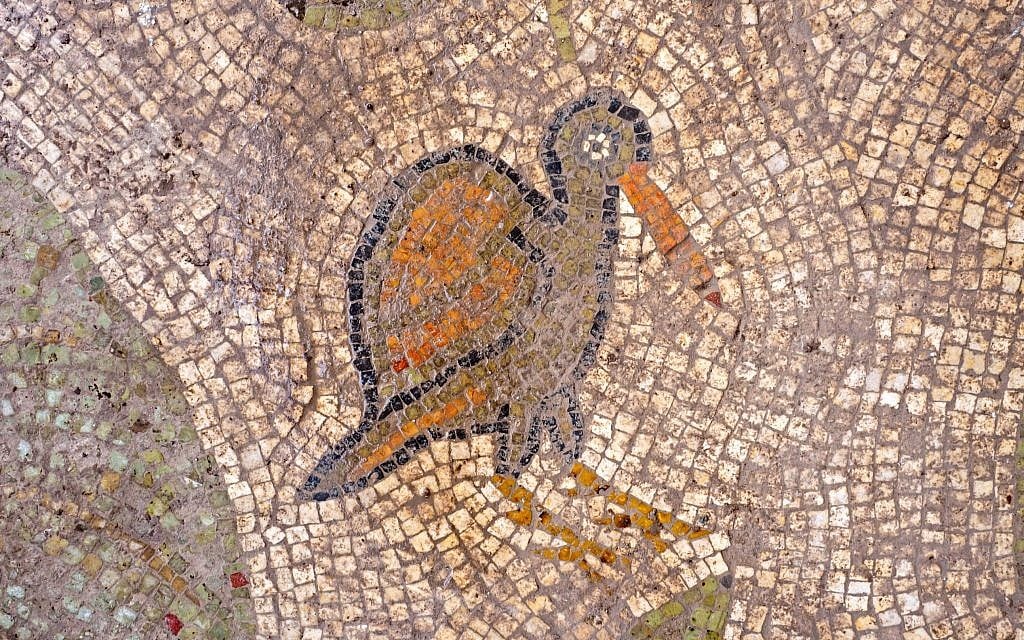 Mosaic floor found at a Byzantine-period church complex found in Ramat Beit Shemesh, 2017. (Assaf Peretz, Israel Antiquities Authority)