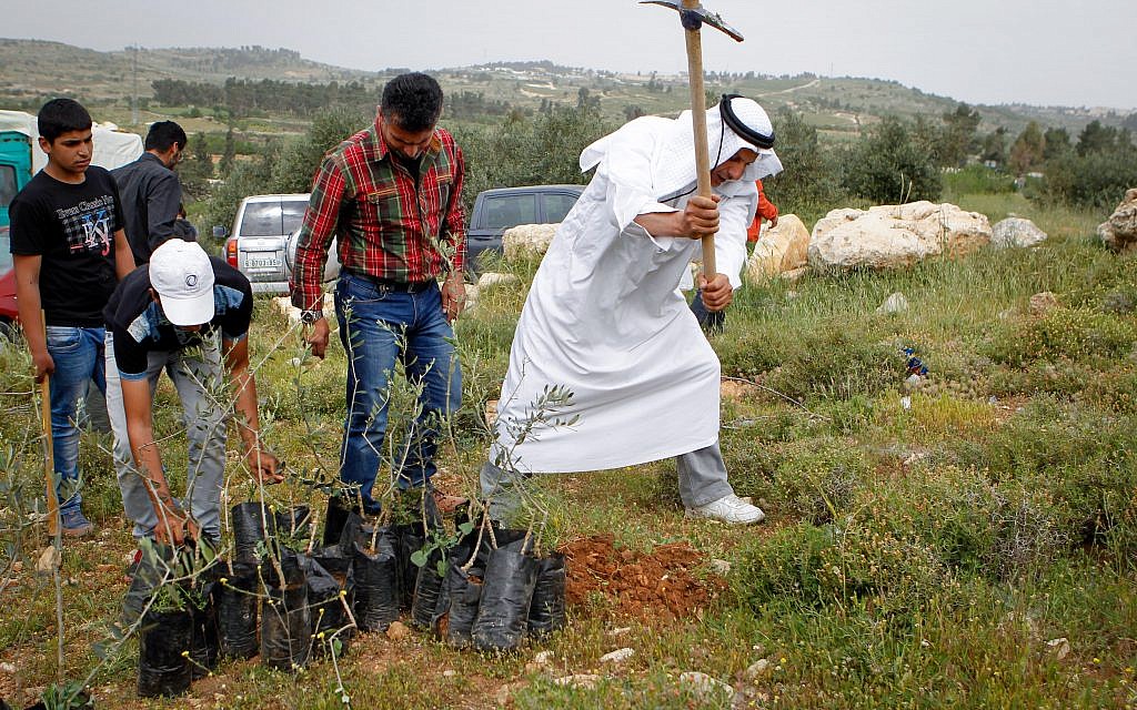 Illustrative: Palestinian officials along with Israeli and International peace activists plant trees near Beit Al Baraka compound as part of a protest against the land being taken over by Israeli settlers on April 9, 2016. (Wisam Hashlamoun/Flash90) Illustrative: Palestinian officials along with Israeli and International peace activists plant trees near Beit Al Baraka compound as part of a protest against the land being taken over by Israeli settlers on April 9, 2016. (Wisam Hashlamoun/Flash90)