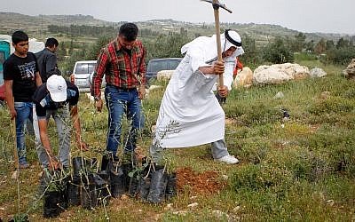 Illustrative: Palestinian officials along with Israeli and International peace activists plant trees near Beit Al Baraka compound as part of a protest against the land being taken over by Israeli settlers on April 9, 2016. (Wisam Hashlamoun/Flash90)