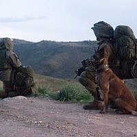 Israeli special forces train in Cyprus as part of a binational exercise in early December 2017. (Israel Defense Forces)