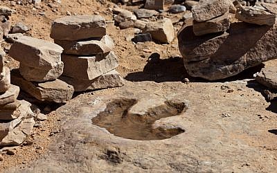 Dinosaur footprint in Australia. (Wikimedia Commons)