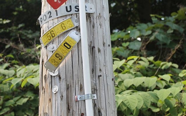 A PVC pipe affixed to a telephone pole that helps form the eruv in the town of Upper Saddle River, NJ. (Ben Sales for JTA) A PVC pipe affixed to a telephone pole that helps form the eruv in the town of Upper Saddle River, NJ. (Ben Sales for JTA)