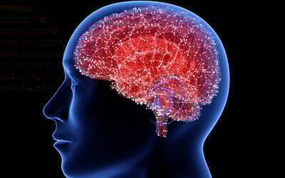 Illustrative image of a brain (iStock)