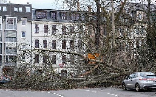 A fallen tree blocking a road Leipzig, in eastern Germany after the region was hit by strong winds, January 18, 2018. (AFP Photo/ dpa/Jan Woitas/Germany OUT)