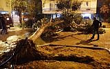Emergency crews cut a tree blocking a road in Netanya, north of Tel Aviv. The tree fell due to heavy winds as a storm hit the country on January 18, 2018. (AFP Photo/Jack Guez)