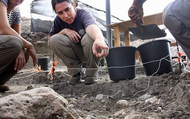 Maayan Shemer, excavation director for the Israel Antiquities Authority, showing a half-million year-old hand axe found at Jaljulia. (Samuel Magal, Courtesy of the Israel Antiquities Authority)