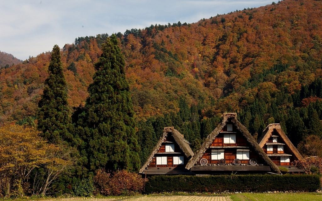 Fall foliage in Japan's UNESCO world heritage site, Shirakawago. (courtesy)