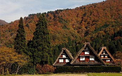 Fall foliage in Japan's UNESCO world heritage site, Shirakawago. (courtesy)
