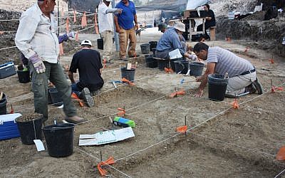 The excavation of the half a million-year-old prehistoric site at Jaljulia. (Samuel Magal, Courtesy of the Israel Antiquities Authority)