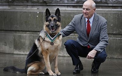 John Wren from New York, who was 4-years-old when Chips the family pet dog returned from the war effort, with military working dog Ayron, who received the PDSA Dickin Medal, the animal equivalent of the Victoria Cross, on Chips' behalf, in London on January 15, 2018. (AP Photo/Kirsty Wigglesworth)