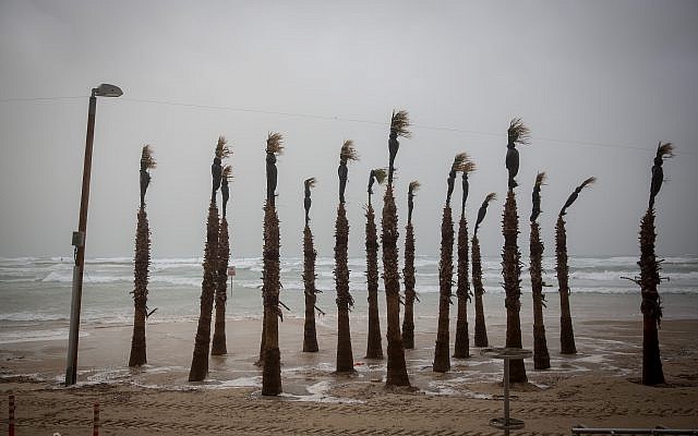 The beach in Tel Aviv on a stormy winter day in Tel Aviv, January 05, 2018. (Miriam Alster/FLASH90) The beach in Tel Aviv on a stormy winter day in Tel Aviv, January 05, 2018. (Miriam Alster/FLASH90)