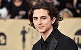 Timothee Chalamet, up for best actor this year for "Call Me By Your Name," shown at the Screen Actors Guild Awards in Los Angeles, Jan. 21, 2018. (Frazer Harrison/Getty Images via JTA)
