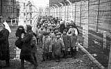 Liberation of children from Auschwitz-Birkenau. (HistClo.com)