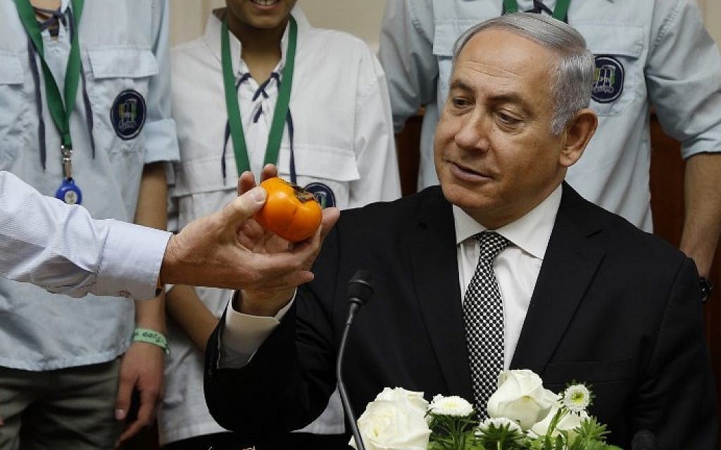 Prime Minister Benjamin Netanyahu holds a persimmon as he opens the weekly cabinet meeting at his Jerusalem office on February 25, 2018. (AFP PHOTO / GALI TIBBON) Prime Minister Benjamin Netanyahu holds a persimmon as he opens the weekly cabinet meeting at his Jerusalem office on February 25, 2018. (AFP PHOTO / GALI TIBBON)