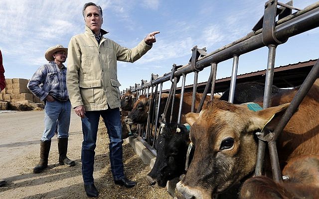 Former Republican presidential candidate Mitt Romney stands near cows during a tour of Gibson's Green Acres Dairy Friday, Feb. 16, 2018, in Ogden, Utah. The 2012 Republican presidential candidate plans to bid for the seat being vacated by retiring seven-term Utah Sen. Orrin Hatch. (AP Photo/Rick Bowmer) Former Republican presidential candidate Mitt Romney stands near cows during a tour of Gibson's Green Acres Dairy Friday, Feb. 16, 2018, in Ogden, Utah. The 2012 Republican presidential candidate plans to bid for the seat being vacated by retiring seven-term Utah Sen. Orrin Hatch. (AP Photo/Rick Bowmer)