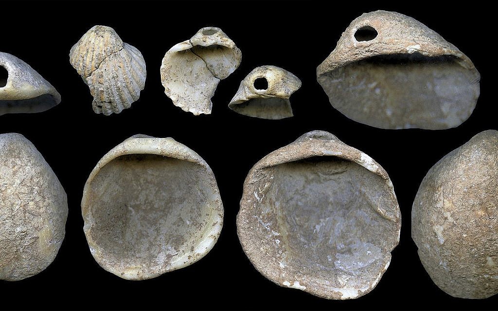 This undated image provided by João Zilhão in February 2018 shows perforated shells found in sediments in the Cueva de los Aviones near Cartagena, Spain. (João Zilhão via AP)