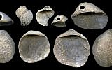 This undated image provided by João Zilhão in February 2018 shows perforated shells found in sediments in the Cueva de los Aviones near Cartagena, Spain. (João Zilhão via AP)