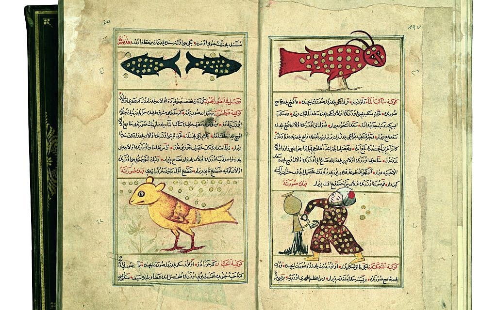 'Marvels of Things Created and Miraculous Aspects of Things Existing,' 'Aquarius and Capricorn; Pisces and Cetus,' Iraq, 1659 (The National Library of Israel)