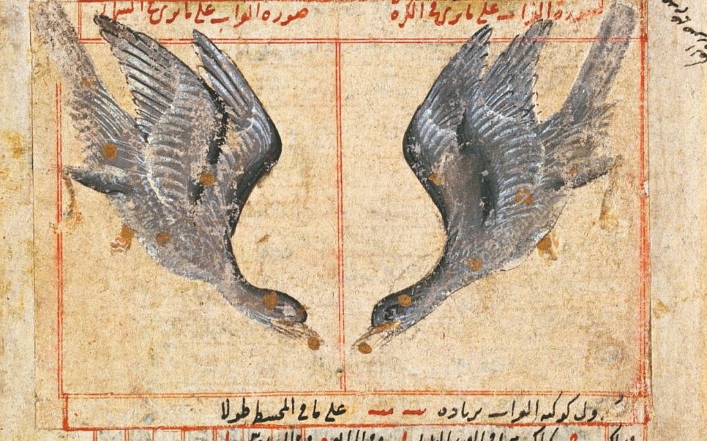 Inset of 'The Constellation of Corvus the Raven,' Iran, 16th century (Brooklyn Museum)