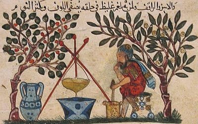 'De materia medica' by Dioscorides. Physician preparing an elixir. (The Metropolitan Museum of Art, Rogers Fund)