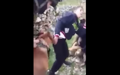 Hamzeh Abu Hashem being bitten (YouTube screenshot)