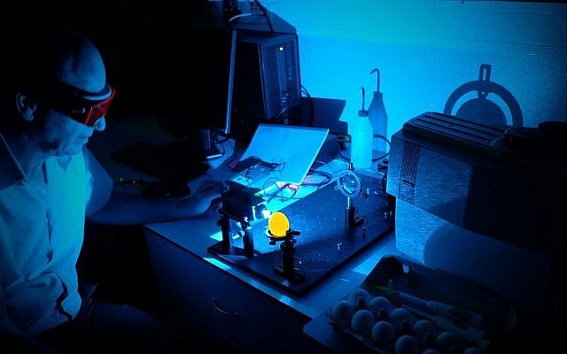 Photo of Dani Offen, professor at the Sagol School of Neuroscience at Tel Aviv University and co-founder and chief scientific officer of eggXYt,in lab testing a male egg prior to hatching (Courtesy) Photo of Dani Offen, professor at the Sagol School of Neuroscience at Tel Aviv University and co-founder and chief scientific officer of eggXYt,in lab testing a male egg prior to hatching (Courtesy)