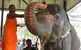 A Sri Lankan Buddhist monk blesses an elephant at a zoo in Dehiwala on the outskirts of Colombo on April 16, 2018, as part of traditional New Year rituals (AFP PHOTO / LAKRUWAN WANNIARACHCHI)