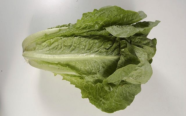 Romaine lettuce (Steve Campbell/Houston Chronicle via AP) Romaine lettuce (Steve Campbell/Houston Chronicle via AP)