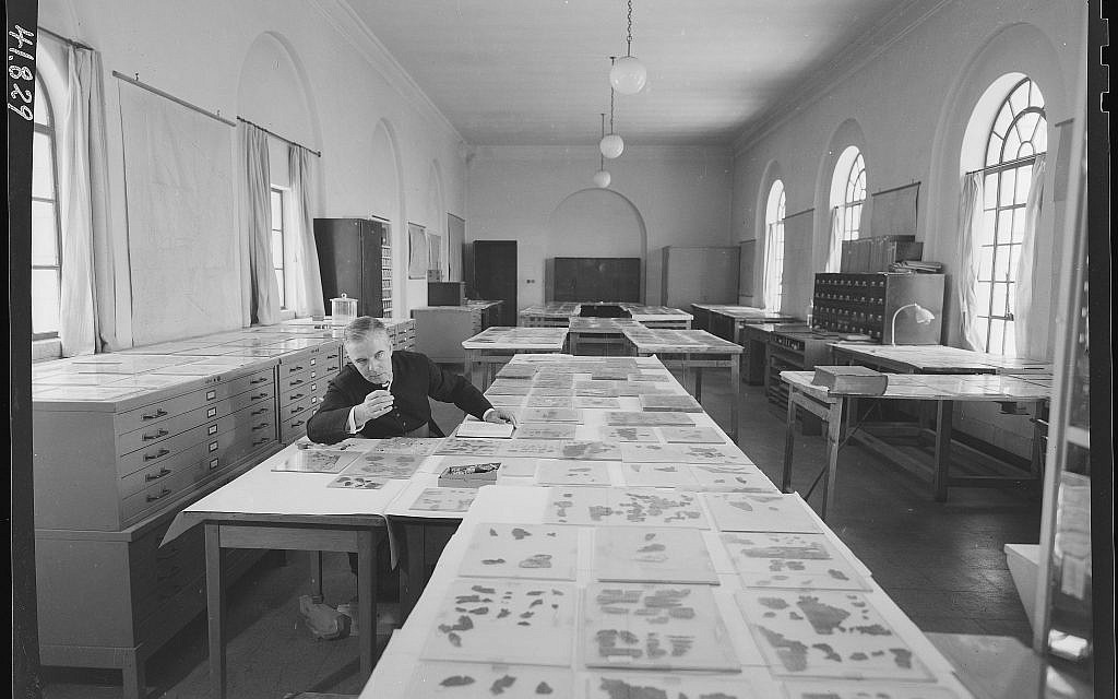 Early research on the Dead Sea Scrolls, at the Rockefeller Museum, in east Jerusalem. (Courtesy of the Dead Sea Scrolls Lab, IAA)