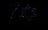 A fleet of 300 Intel drones will light of Jerusalem's skies to celebrate Israel's 70th independence day (Courtesy Intel)
