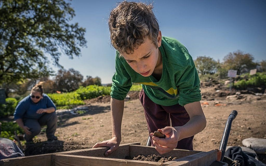 A pupil prepares the Sanhedrin Trail as a gift to the country on the occasion of its 70th year of independence. (Israel Antiquities Authority)