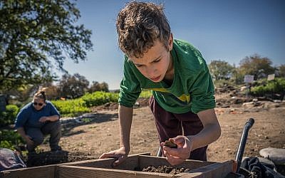 A pupil prepares the Sanhedrin Trail as a gift to the country on the occasion of its 70th year of independence. (Israel Antiquities Authority)