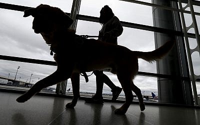 Illustrative: A trainer walks with a service dog through the Terminal C at Newark Liberty International Airport as part of an April 2017 exercise put on by the Seeing Eye puppy program. (AP Photo/Julio Cortez)