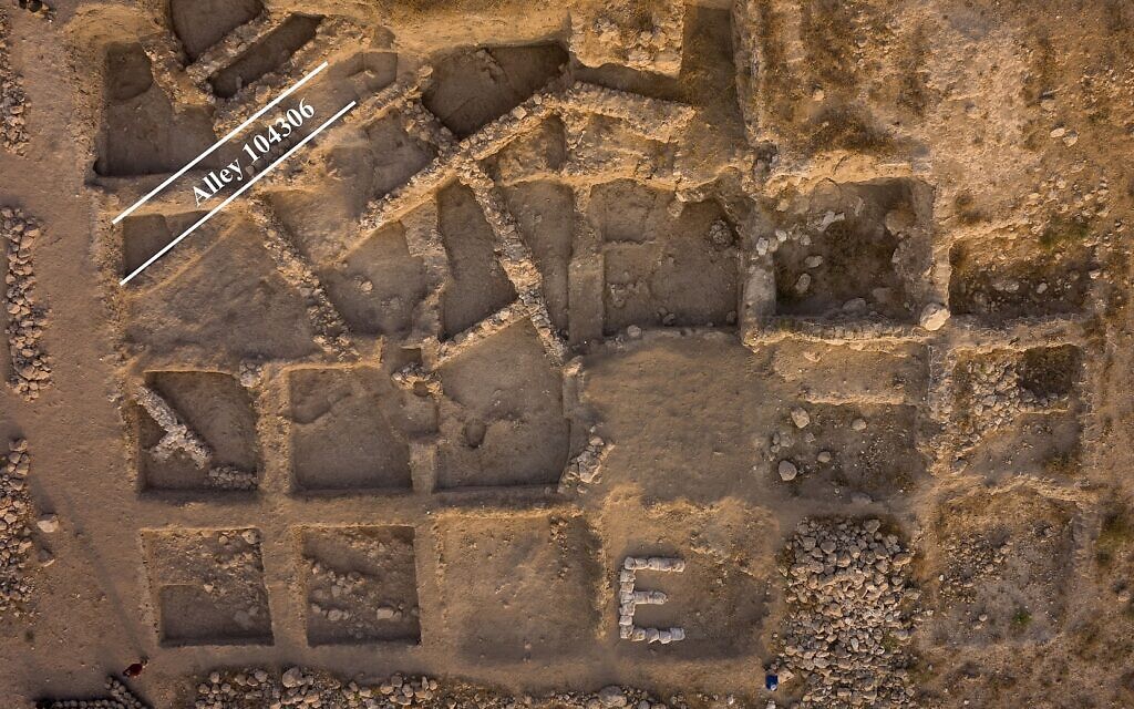 Vertical aerial view of Area E at the excavations of biblical Gath (modern Tell es-Safi), where the donkey was found in an Early Bronze Age neighborhood (Skyview Inc.)