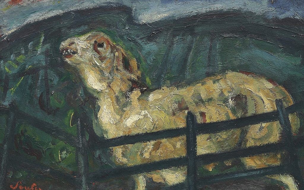 Chaim Soutine, 'Sheep Behind a Fence.' (Courtesy Jewish Museum)