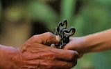 An ad for children aired on Palestinian TV promises a 'return' to homes in Israel. In this still, an elderly hand is seen passing on old house keys to the hand of a child. A title declares: "From generation to generation, there is no alternative to the return.” (PA TV screenshot)
