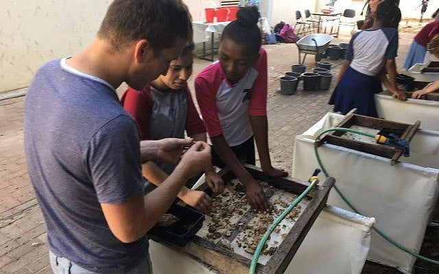 Temple Mount soil being sifted in the city of Petach Tikva by Yeshurun High school students (Inbal Dasberg/Temple Mount Sifting Project) Temple Mount soil being sifted in the city of Petach Tikva by Yeshurun High school students (Inbal Dasberg/Temple Mount Sifting Project)