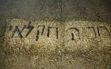 'Stop the agricultural terror,' found graffitied in Hebrew in the Palestinian village of Burin, in the northern West Bank, on June 8, 2018. (Yesh Din, courtesy)
