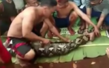 Villagers cut open a python and find the body of a local woman inside, June 15, 2018 (YouTube screenshot)