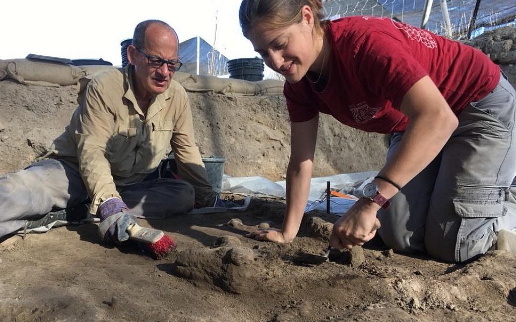 Excavation of a 7,200-year-old level at Tel Tsaf in the Jordan Valley, July 2018. (courtesy)