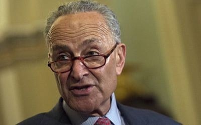 Senate Minority leader Chuck Schumer D-NY speaks to reporters on July 17, 2018, on Capitol Hill in Washington, DC. (AFP PHOTO / ANDREW CABALLERO-REYNOLDS)