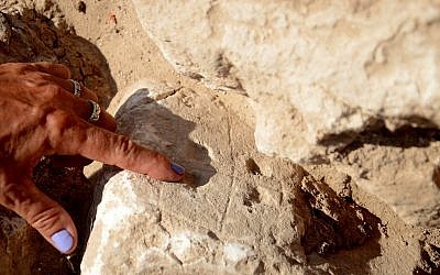 X marks the spot: Game boards in the games room discovered at a northern Gedera excavation. (Yoli Schwartz, Israel Antiquities Authority)