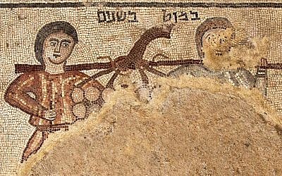 A mosaic found in the 2018 Huqoq excavation is labeled 'a pole between two' and depicts a biblical scene from Numbers 13:23. The images show two spies sent by Moses to explore Canaan carrying a pole with a cluster of grapes. (Jim Haberman)