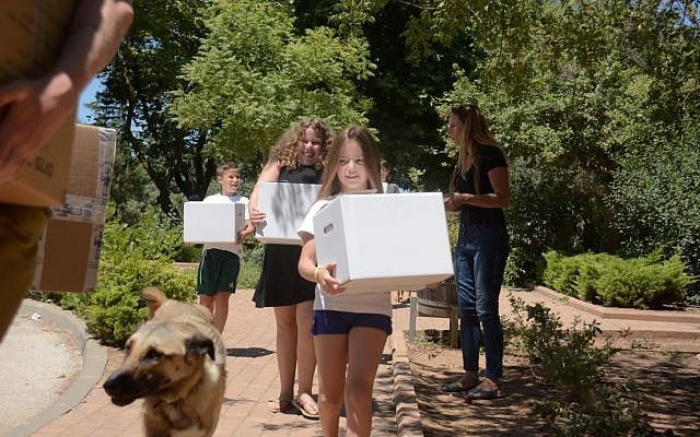 Residents of the Israeli Golan Heights donating care packages for displaced Syrians fleeing the civil war in Syria, July 2018. (IDF) Residents of the Israeli Golan Heights donating care packages for displaced Syrians fleeing the civil war in Syria, July 2018. (IDF)