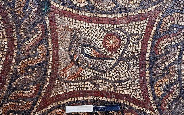 Animal figures in the newly exposed Lod mosaic. (Asaf Peretz, IAA)