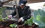 Thala works in the garden with the devices created by Alyn hospital in Jerusalem to help her hold on to the tools (YouTube screen shot)