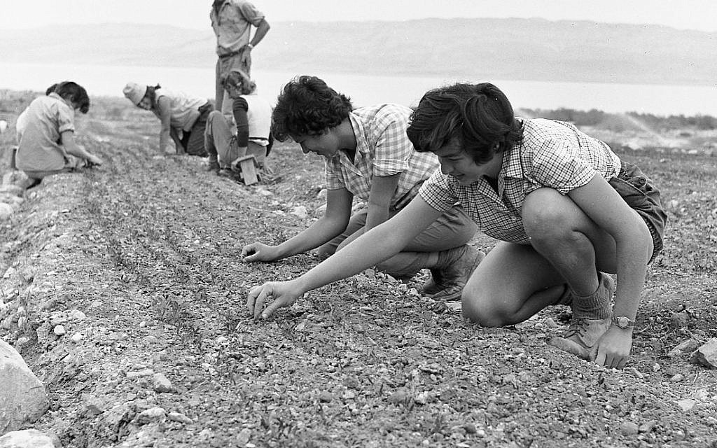 Kids at a trip to Ein Gedi and Masada, early 1950s. (Efraim Ilani)