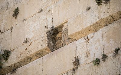 View of the site where a large chunk of stone dislodged from the Western Wall in Jerusalem at the mixed-gender prayer section on July 23, 2016. (Yonatan Sindel/Flash90)