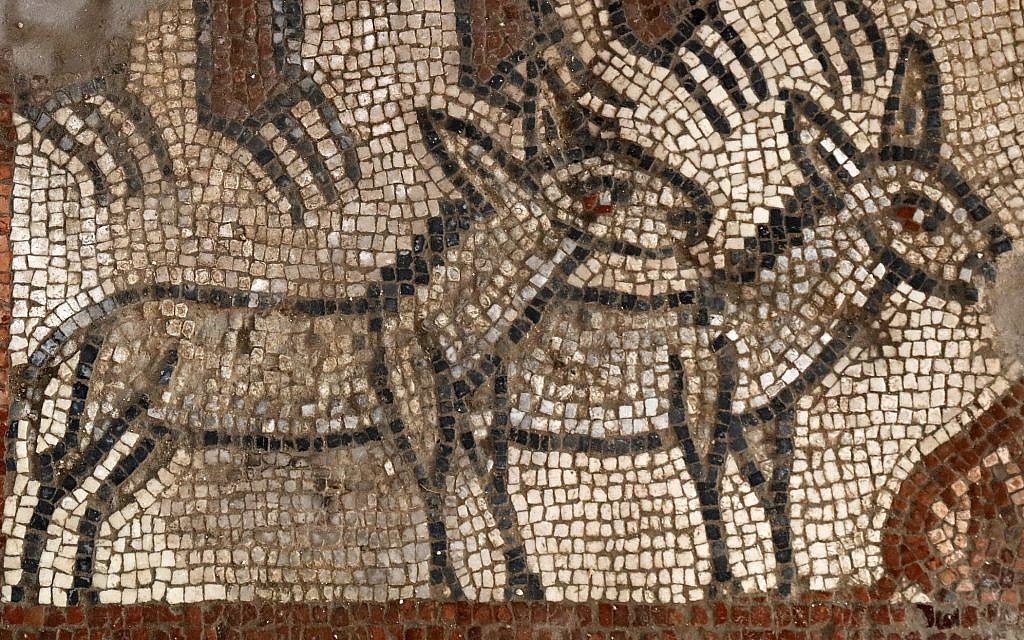 Pair of donkeys in Noah's Ark scene at the Huqoq excavation. (Jim Haberman via UNC-Chapel Hill)