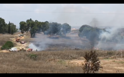 A fire breaks out in near Kibbutz Nir Am in southern Israel, near the Gaza border, on July 22, 2018. (Screen capture: Ofer Liberman)